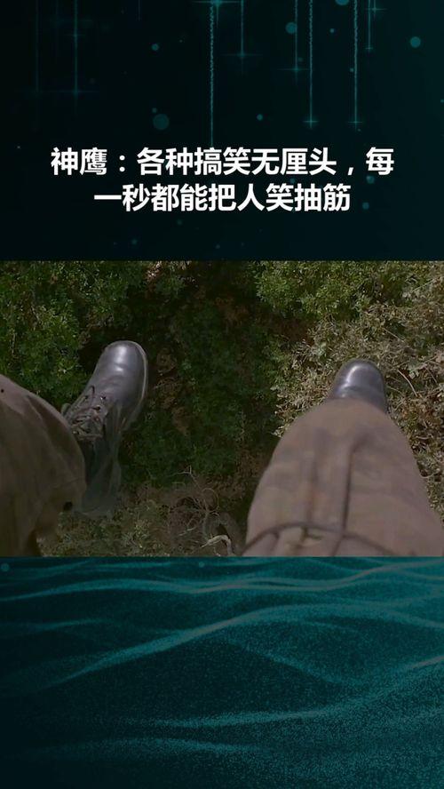 搞笑神鹰,笑料横飞，欢乐无限！